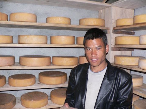 チーズ保冷庫の内部：生産されたチーズとチーズ職人のトリジさん